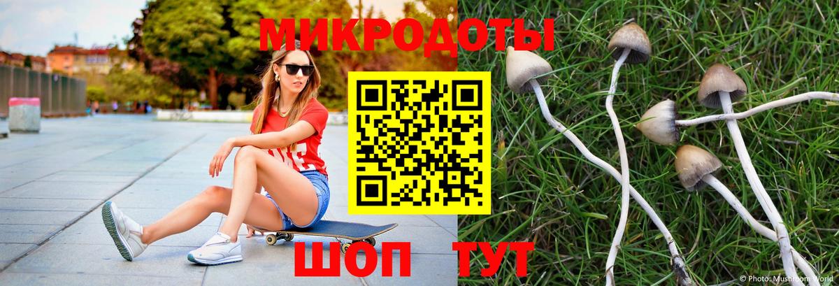 Галлюциногенные грибы мицелий  Вход с VPN  Вольск 